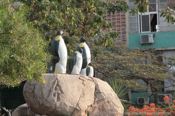 pinguins_2