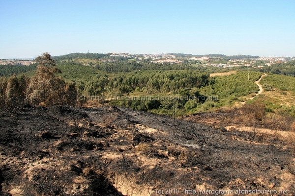 Serra da Carregueira queimada