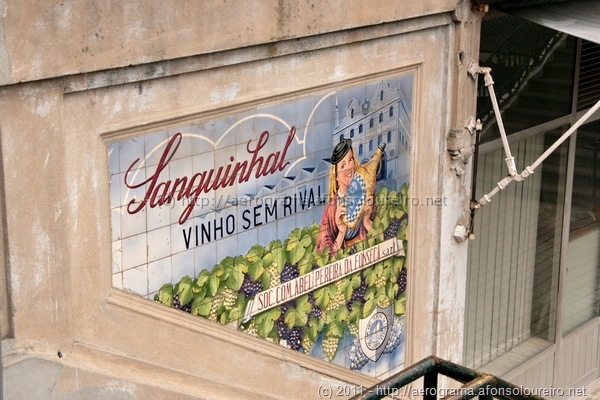 Vinho Sanguinhal